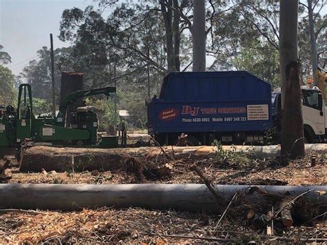 arborists toowoomba|DJ Tree Services.